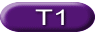 T1 