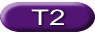 T2 