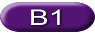 B1